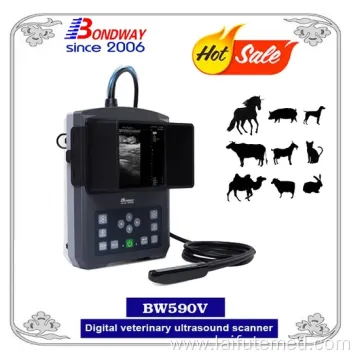 Veterinary Ultrasound Scanning Machine Bw590V